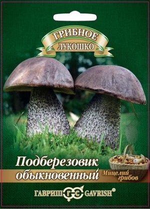 Грибы Мицелий Подберезовик обыкновенный на зерновом субстрате /Гавриш/ 15 мл