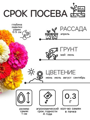 Семена цветов Цинния "Калифорнийские гиганты" смесь, 0,3 г