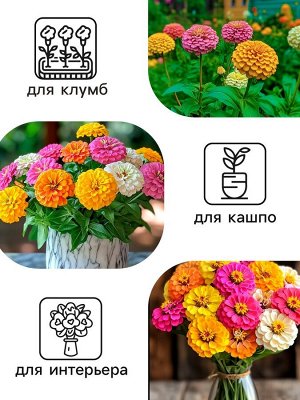 Семена цветов Цинния "Калифорнийские гиганты" смесь, 0,3 г