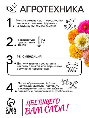 Семена цветов Цинния "Калифорнийские гиганты" смесь, 0,3 г
