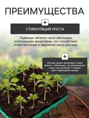 Набор для рассады: торфяная таблетка d=4.1 см, 12 шт., кассета на 12 ячеек по 40 мл, поддон 20.5x17 см, зелёный, пластик, Экоторф