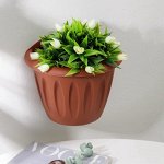 Кашпо, горшки для цветов всех форм и размеров! Красота дома🌷