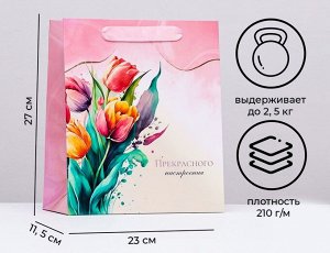 Пакет ламинированный вертикальный "Весенние тюльпаны", 23 х 27 х 11,5 см