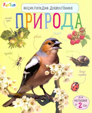 Познаем и исследуем - Природа