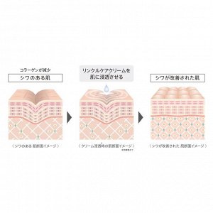 Couleur Labo LIFTBEAUTE Wrinkle Care Cream Set - крем для ухода за кожей вокруг глаз с вибрационным массажером в комплекте