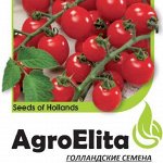 Семена серии AgroElita- Лучшее от мировых производителей