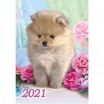 Карманные календарики 2019 - 2023 гг (одинарные и двойные)