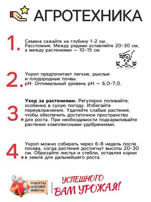 Семена Укроп «Супердукат ОЕ», 2 г