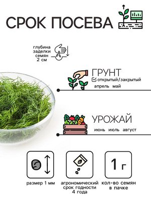 Семена Укроп "Кибрай", 1 г