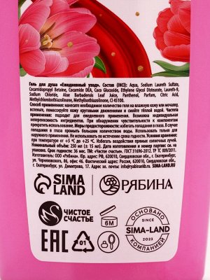 Подарочный набор «Самой красивой», гель для душа 250 мл и мочалка для тела, аромат малиновый пунш, Чистое счастье