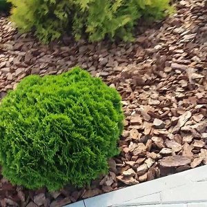 ИП Тарасова Надежда Юрьевна Кора лиственницы фракция 10-15 (особо крупная)