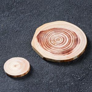 Набор из спилов дерева "Сосновый", набор 40 шт, 4 вида спилов
