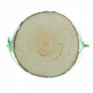 Спил осины, шлифованный с одной стороны, диаметр 15-20  см, толщина 1-3 см