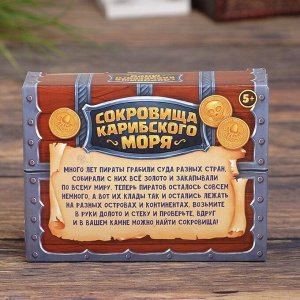 Набор для раскопок «Сокровища карибского моря»