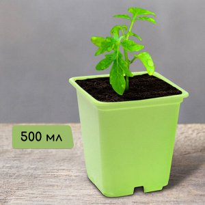 Горшок для рассады, 500 мл, d = 9 см, h = 9,5 см, салатовый, 6 шт