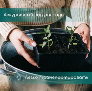 Кассета для рассады, 21 ячейка по 150 мл, пластик, чёрная, 54 × 28 × 7 см