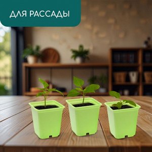 Горшок для рассады, 250 мл, d = 7 см, h = 8 см, пластик, 12 шт, цвет зелёный