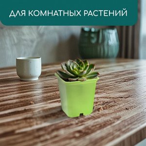 Горшок для рассады, 250 мл, d = 7 см, h = 8 см, пластик, 12 шт, цвет зелёный