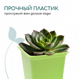 Горшок для рассады, 250 мл, d = 7 см, h = 8 см, пластик, 12 шт, цвет зелёный