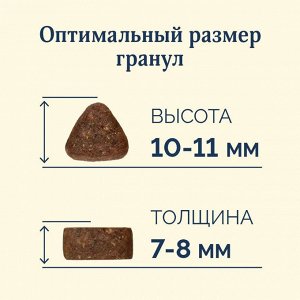 Сухой корм Avance для собак средних и крупных  пород с индейкой и бурым рисом. 0.8 кг. Монобелок. Холистик. Россия