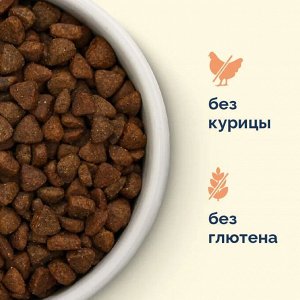 Сухой корм Avance для собак средних и крупных  пород с индейкой и бурым рисом. 0.8 кг. Монобелок. Холистик. Россия
