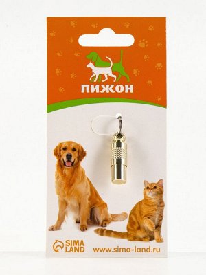 Адресник-капсула под записку, 0,9 х 2,75 см, золотой