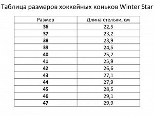 Коньки хоккейные прокатные Winter Star.