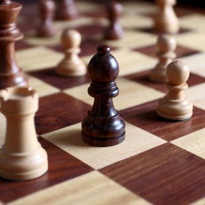 СИМА-ЛЕНД Шахматы раскладные 40х40х6,5 см