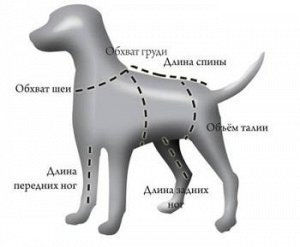 Комбинезон для собак на синтепоне 35 (кобель) графит/принт