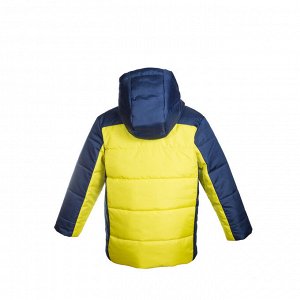 Куртка демисезон Арт. 04045 желтый-синий