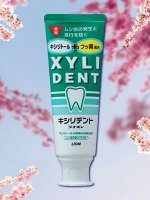 Зубная паста Lion &quot;XYLIDENT&quot; с фтором и ксилитолом, укрепляет зубную эмаль 120 гр