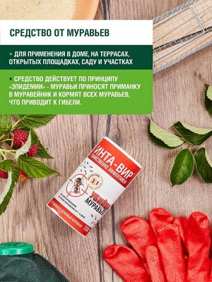 Средство от муравьев (инсектицидное) в банке 100г