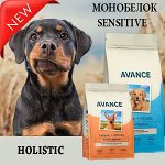 AVANCE — сухие корма для собак. Холистик. Россия