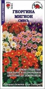 Цветы Георгина Мигнон Смесь ЦВ/П (СОТКА) 0,2гр однолетник до 45см