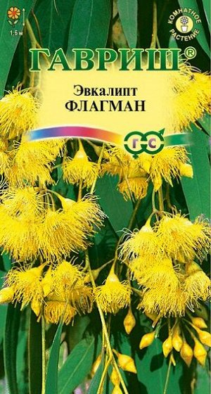 Эвкалипт Лимонный Флагман (Код: 10668)