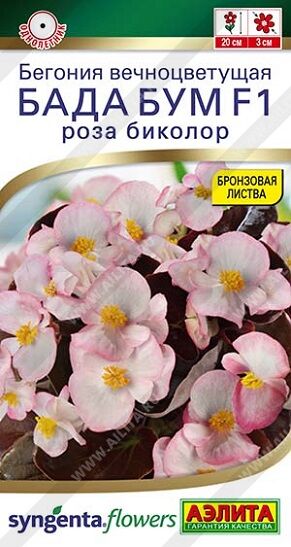Бегония Бада Бум роза биколор (Код: 93142)