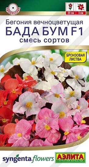 Бегония Бада Бум смесь (Код: 93143)