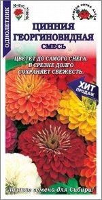 Цветы Цинния Георгиновидная Смесь ЦВ/П (СОТКА) 0,2гр однолетник до 90см