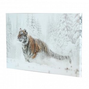 Картина на холсте "Тигр в снегу" 60*100 см