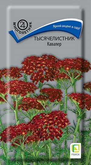 Тысячелистник Кавалер (Код: 92840)