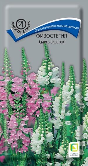 Физостегия Смесь окрасок (Код: 92843)