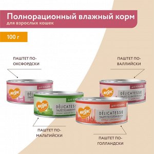 Влажный корм Мнямс Индейка с тыквой для кошек "Паштет по-оксфордски" 100 г