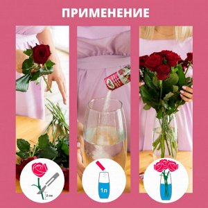 Подкормка для срезанных цветов, 10г - Florizel