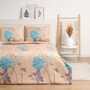 Комплект постельного белья Newday 1,5 сп Soft time 147*215см,1 50*215см, 50*70см-1 шт, полисатин, 80г/м²