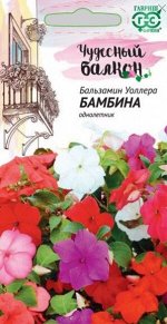 Цветы Бальзамин Бамбина Уоллера смесь ЦВ/П (ГАВРИШ) 0,03гр однолетник 25см