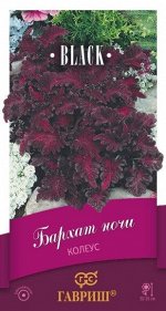 Цветы Колеус Бархат ночи ЦВ/П (ГАВРИШ) 5шт однолетник 30-35см