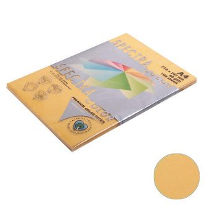 Бумага Spectra Colour A4 100л/пач 80 гр Deep Gold №200 (1/22) арт. 200 (1/22)