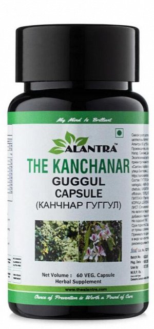 КАНЧНАР ГУГГУЛ капсулы Алантра, 60 шт*500 мг*