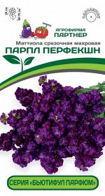 Маттиола срезочная махровая &quot;Бьютифул Парфюм&quot; Парпл Перфекшн