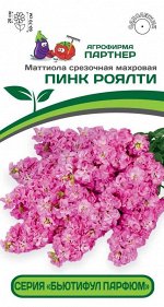 Маттиола срезочная махровая &quot;Бьютифул Парфюм&quot; Пинк Роялти
